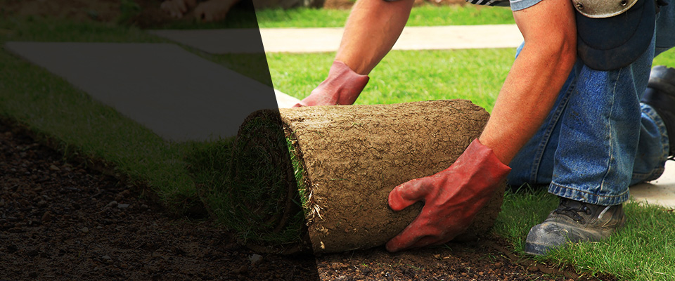 Swartz Creek Landscapers